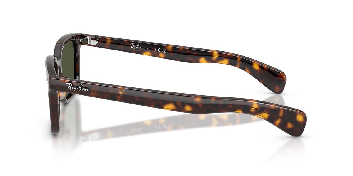 Ray-Ban Brunel RB 2234 902/31 Sunglasses