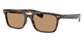 Ray-Ban Brunel RB 2234 902/53 Sunglasses