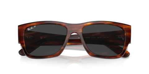 Ray-Ban Carlos RB 0947S 954/48 Polarised Sunglasses