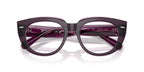 Ray-Ban Doreen RB 5586 8364 Glasses