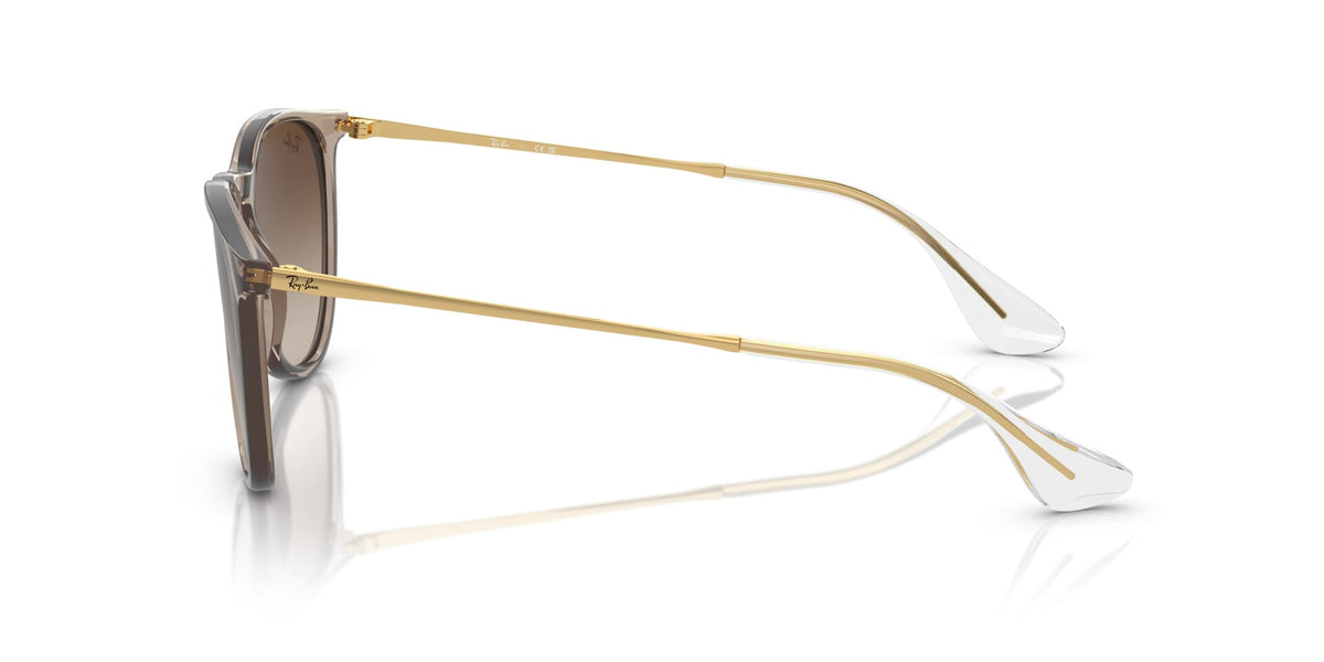 Ray-Ban Erika RB 4171 6744/13 Sunglasses