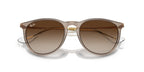 Ray-Ban Erika RB 4171 6744/13 Sunglasses