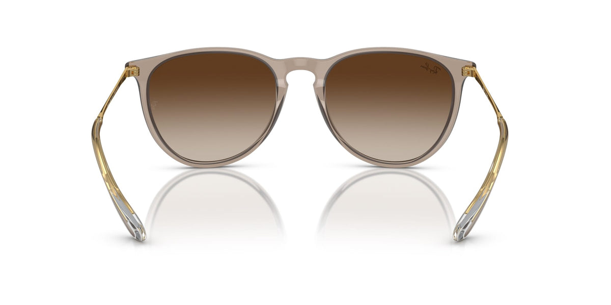 Ray-Ban Erika RB 4171 6744/13 Sunglasses