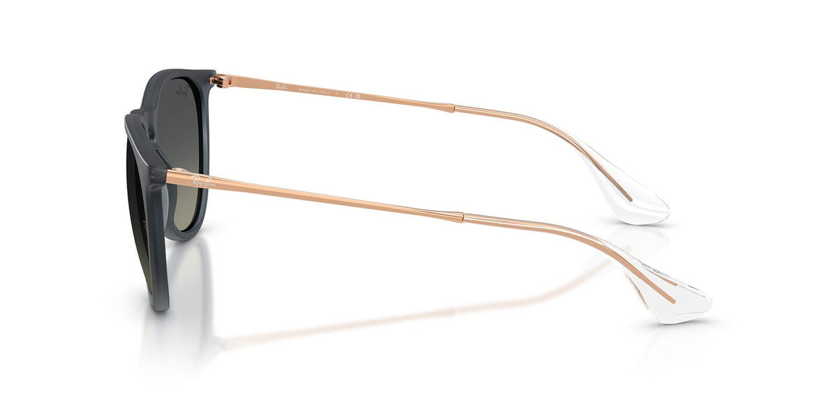 Ray-Ban Erika RB 4171 6813/11 Sunglasses