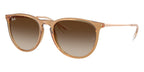 Ray-Ban Erika RB 4171 6814/13 Sunglasses