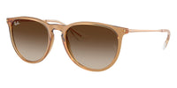 Ray-Ban Erika RB 4171 6814/13 - As Seen On David Warner