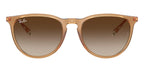 Ray-Ban Erika RB 4171 6814/13 Sunglasses