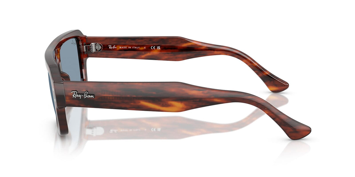 Ray-Ban Flacko RB 4454 1398/56 Sunglasses