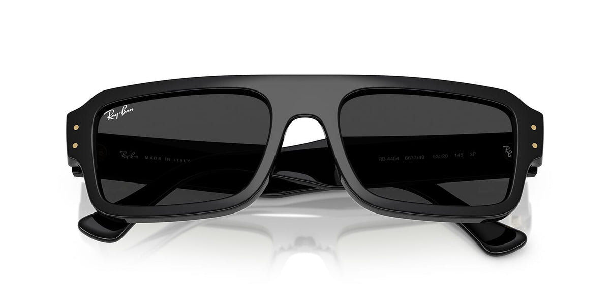 Ray-Ban Flacko RB 4454 6677/48 Polarised Sunglasses