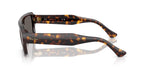 Ray-Ban Lukas RB 4454 1359/B1 Sunglasses