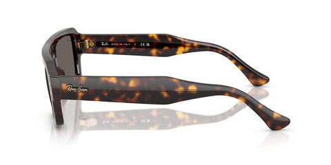 Ray-Ban Lukas RB 4454 1359/B1 Sunglasses