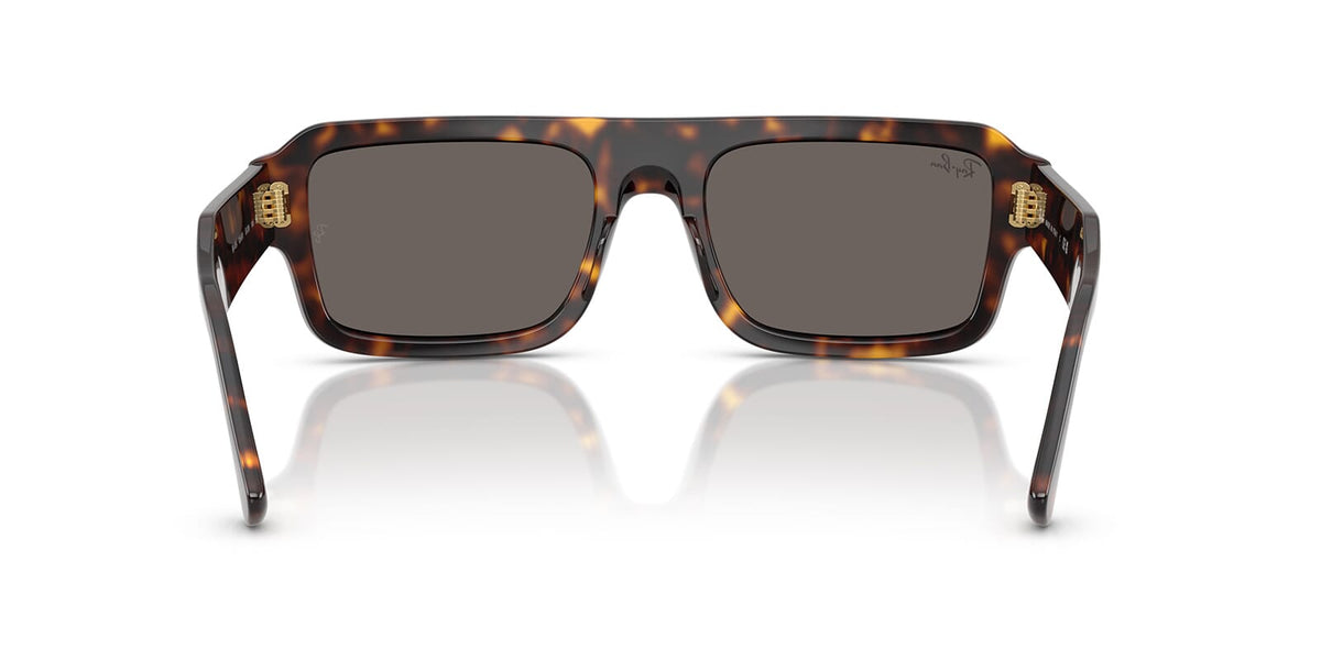 Ray-Ban Lukas RB 4454 1359/B1 Sunglasses