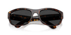 Ray-Ban Mega Balorama RB 2289 902/48 Polarised Sunglasses