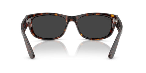 Ray-Ban Mega Balorama RB 2289 902/48 Polarised Sunglasses