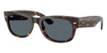 Ray-Ban Mega Wayfarer II RB 0832S 902/R5 Sunglasses