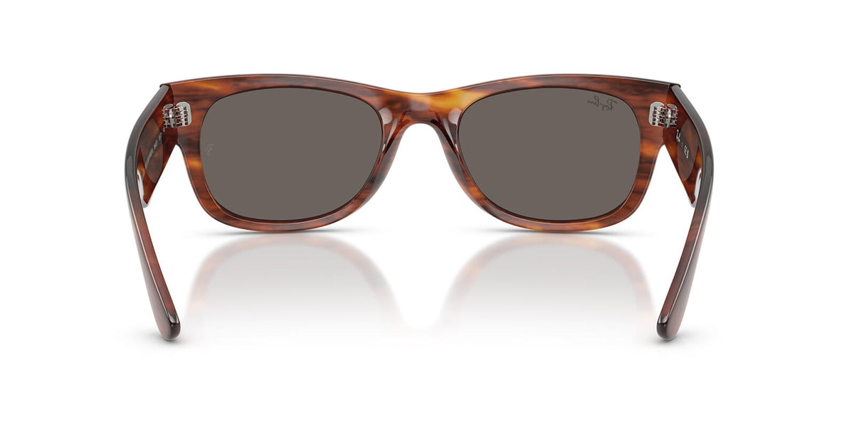 Ray-Ban Mega Wayfarer II RB 0832S 954/B1 Sunglasses