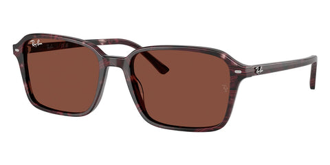 Ray-Ban Raimond RB 2231 1416/C5 Sunglasses