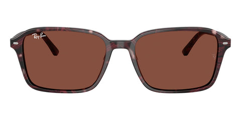 Ray-Ban Raimond RB 2231 1416/C5 Sunglasses