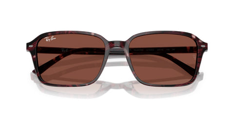 Ray-Ban Raimond RB 2231 1416/C5 Sunglasses