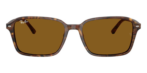 Ray-Ban Raimond RB 2231 1418/33 Sunglasses