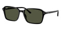 Ray-Ban Raimond RB 2231 901/31 Sunglasses