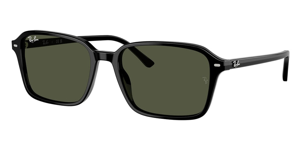 Ray-Ban Raimond RB 2231 901/31 Sunglasses