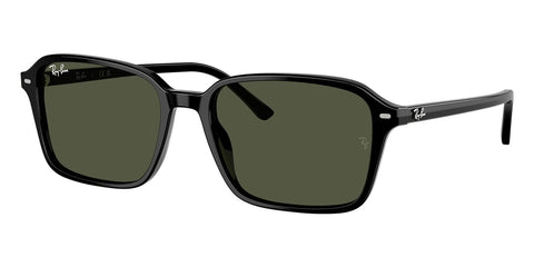 Ray-Ban Raimond RB 2231 901/31 Sunglasses