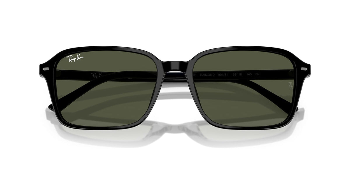 Ray-Ban Raimond RB 2231 901/31 Sunglasses