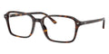 Ray-Ban Raimond RB 5431 2012 Glasses