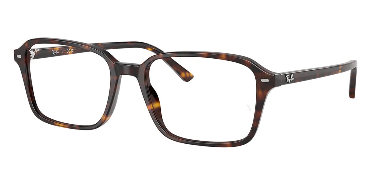 Ray-Ban Raimond RB 5431 2012 Glasses