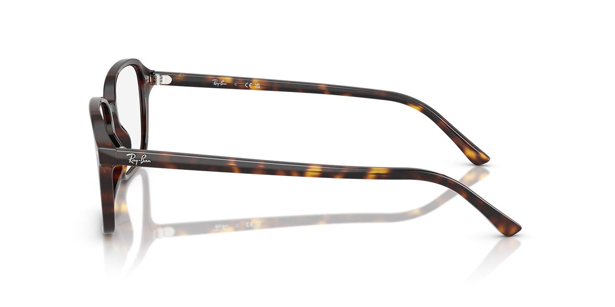 Ray-Ban Raimond RB 5431 2012 Glasses