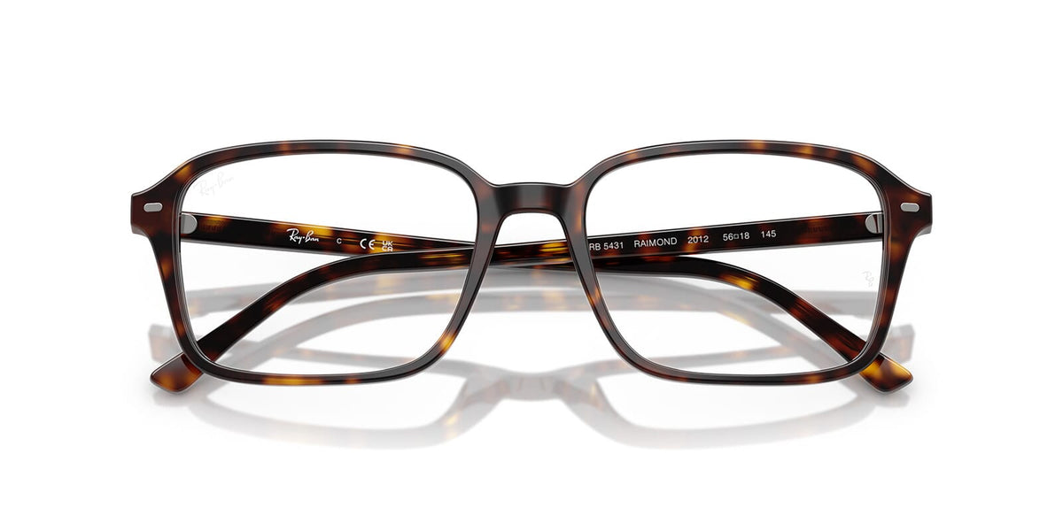 Ray-Ban Raimond RB 5431 2012 Glasses