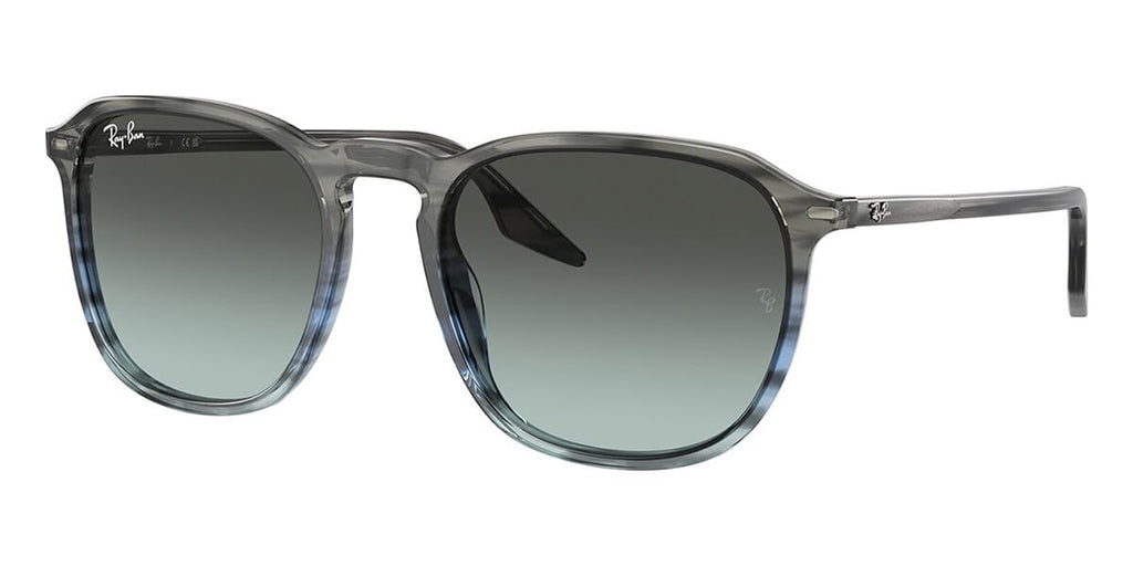 Ray-Ban RB 2203 1391/GK Sunglasses