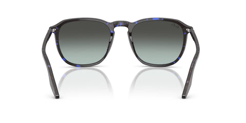Ray-Ban RB 2203 1430/GK Sunglasses