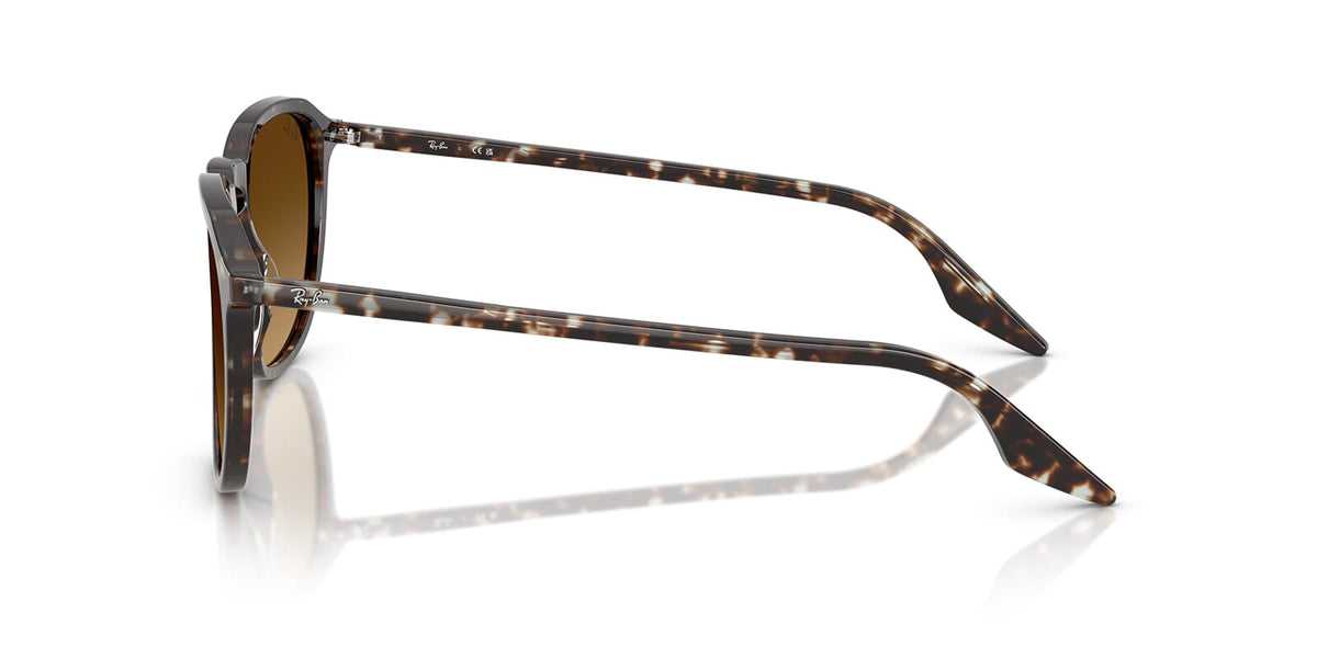 Ray-Ban RB 2203 1431/85 Sunglasses