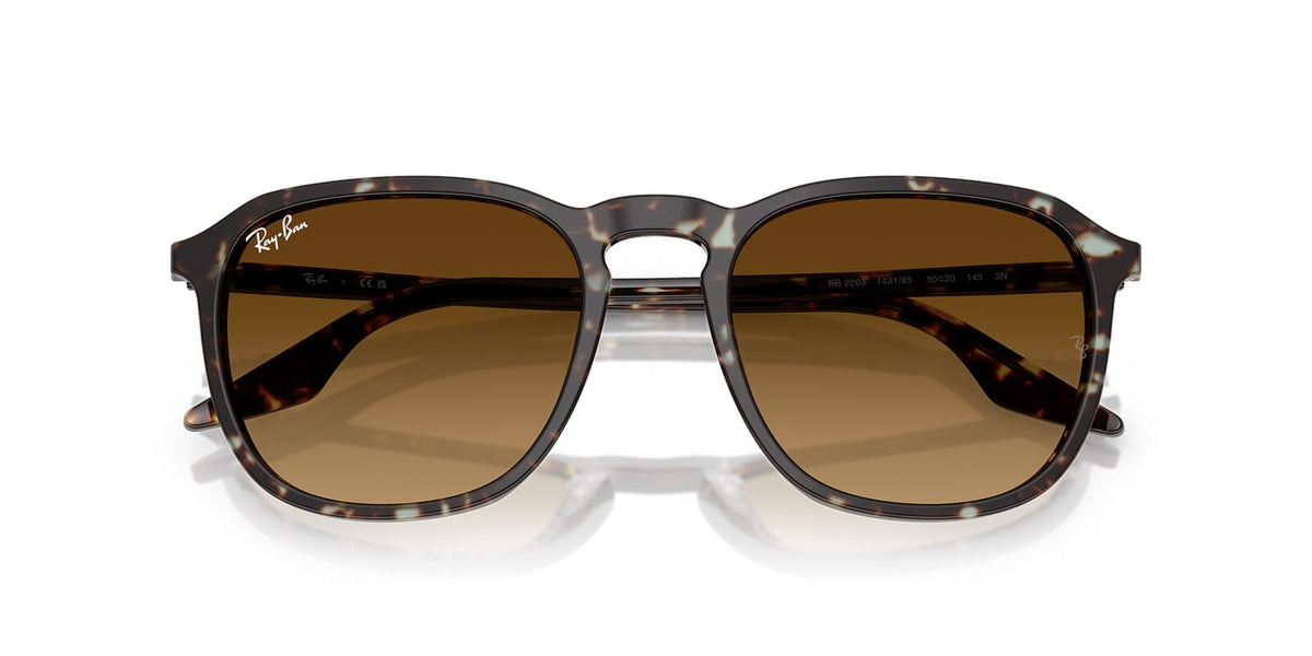Ray-Ban RB 2203 1431/85 Sunglasses