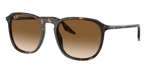 Ray-Ban RB 2203 902/51 Sunglasses