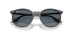 Ray-Ban RB 2204 1399/R5 Sunglasses