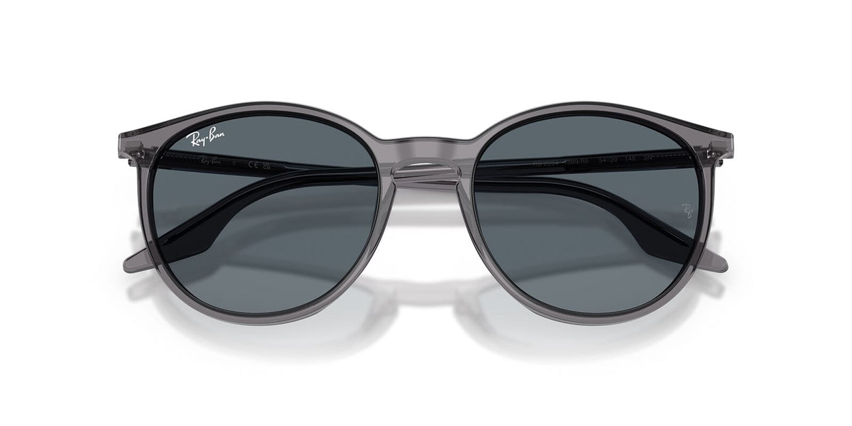 Ray-Ban RB 2204 1399/R5 Sunglasses