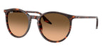 Ray-Ban RB 2204 1429/3B Sunglasses