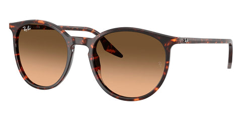 Ray-Ban RB 2204 1429/3B Sunglasses