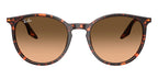 Ray-Ban RB 2204 1429/3B Sunglasses