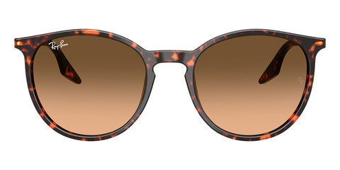 Ray-Ban RB 2204 1429/3B Sunglasses