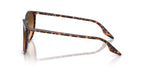 Ray-Ban RB 2204 1429/3B Sunglasses