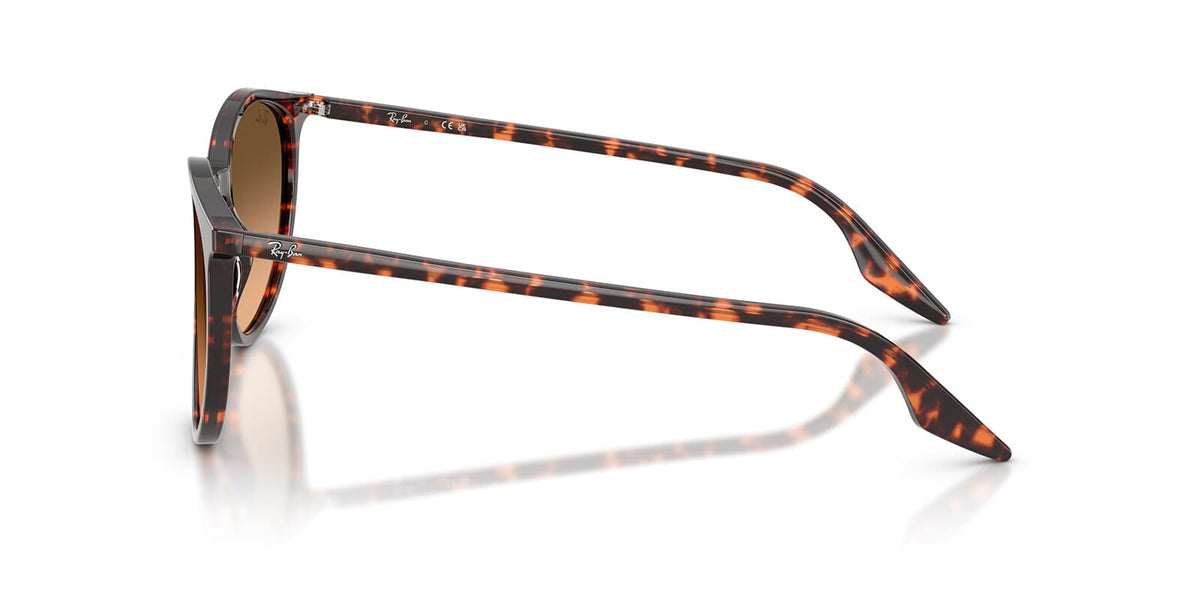 Ray-Ban RB 2204 1429/3B Sunglasses