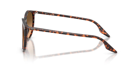 Ray-Ban RB 2204 1429/3B Sunglasses