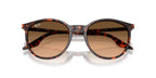 Ray-Ban RB 2204 1429/3B Sunglasses
