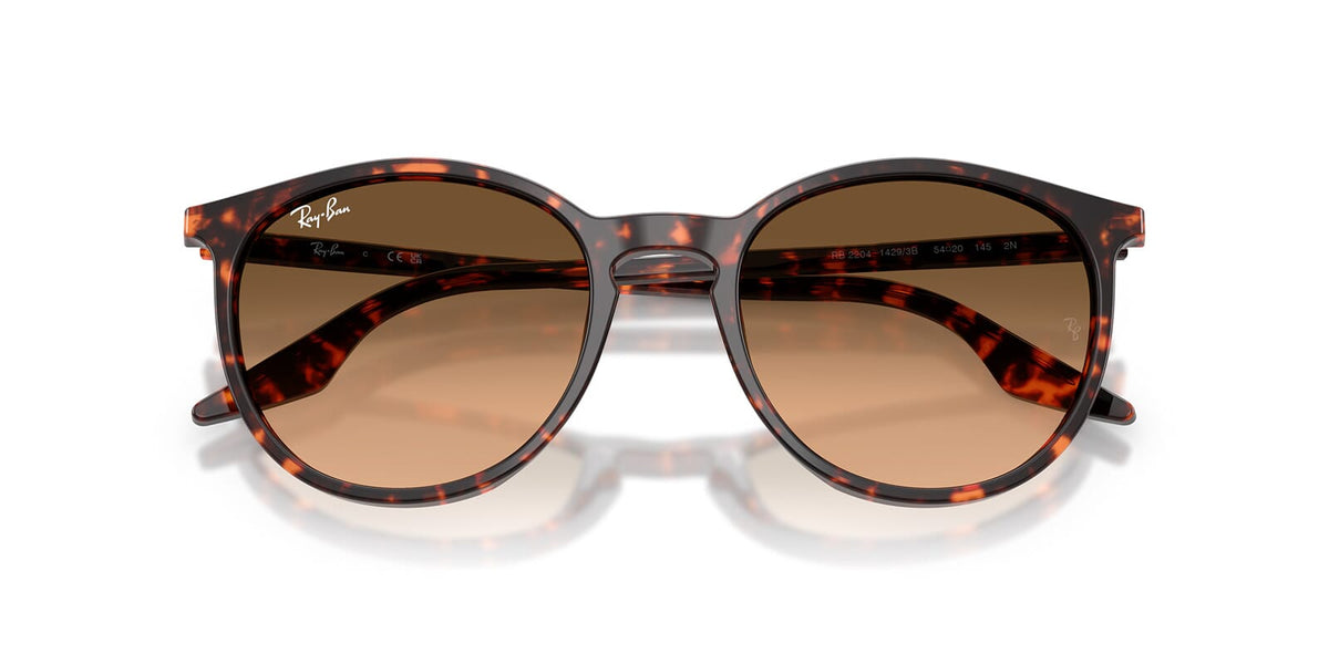 Ray-Ban RB 2204 1429/3B Sunglasses
