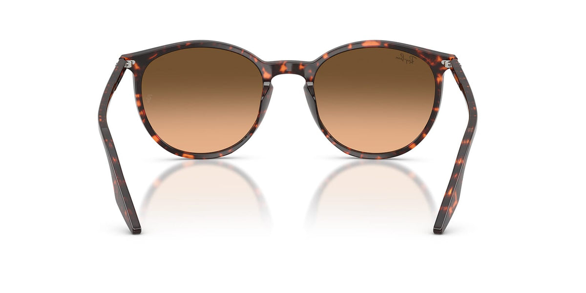 Ray-Ban RB 2204 1429/3B Sunglasses