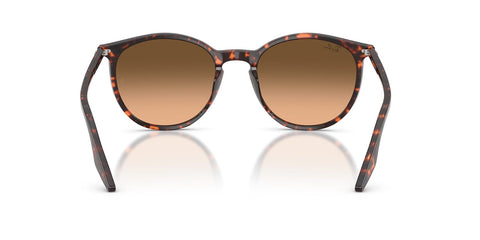 Ray-Ban RB 2204 1429/3B Sunglasses